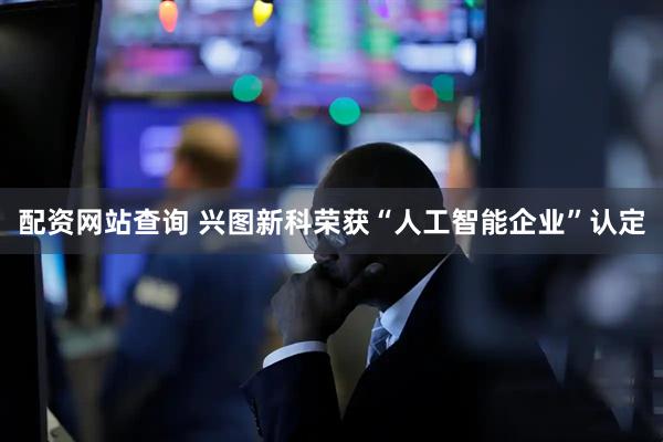 配资网站查询 兴图新科荣获“人工智能企业”认定